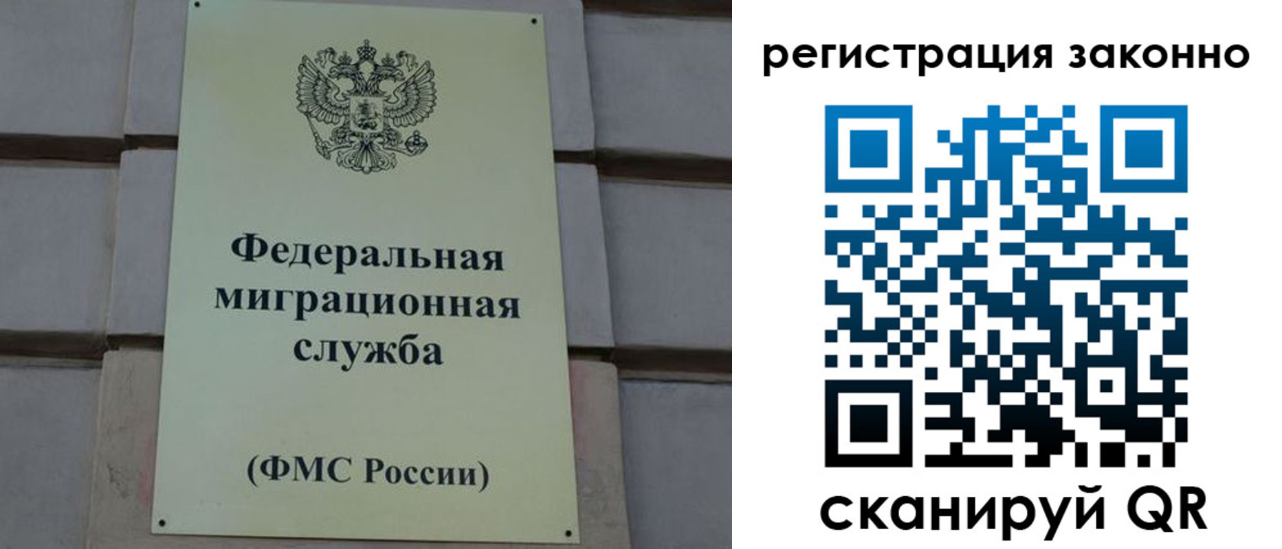 прописка гарантия в Светлом